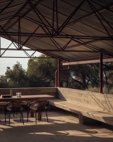 House in an Olive Grove